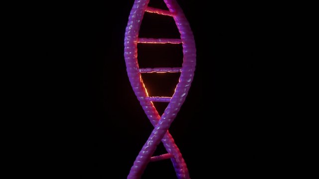 3D Rendered Illustration, visualisation of a spinning DNA double helix