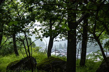 Fototapeta premium 兵庫県・雨の降る谷あいの暮らし風景、香美町小代区