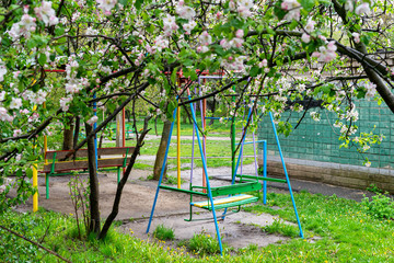 Fototapeta premium quarantine baby swing under a well-flowered tree