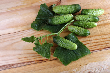 Cucumbers on table