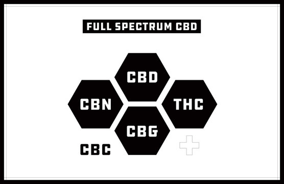 Infographic Of Full Spectrum CBD Oil. THC, CBN, CBD, CBG, CBC