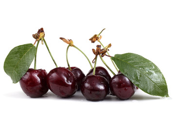 Cherry isolated on white background