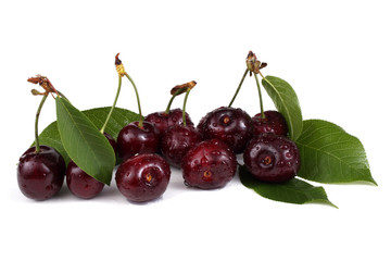 Cherry isolated on white background