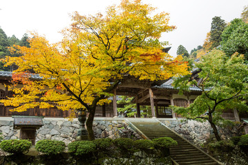 Fall at Eihei-Ji Temple in Fukui, Japan