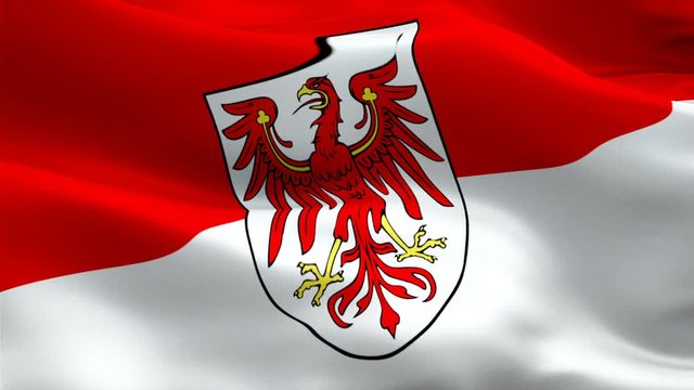 Download Flag of Brandenburg, 40+ Shapes