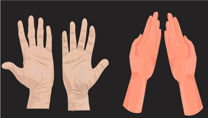 illustration hands.