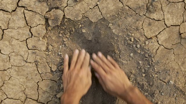 Top view ,farmer planting young tree in dry cracked soil ,Environmental conservation