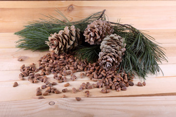 Cedar pine nuts