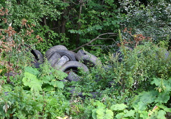 Dump of old rubber tires in the green forest