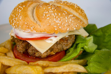 meat burger platter between bread with salad, tomato sauce, ketcup, french fries