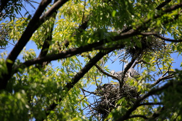 왜가리가 보이는 아름다운 풍경