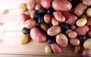 Potato harvest. Different varieties.