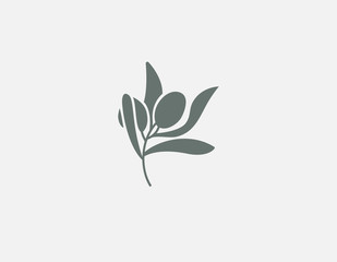 Abstract simple logo icon plant branch, olive.