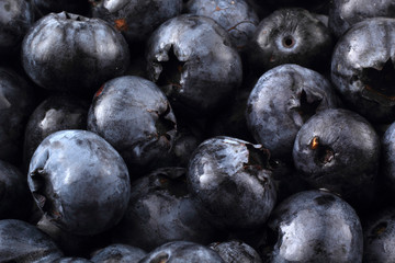 Blueberries background