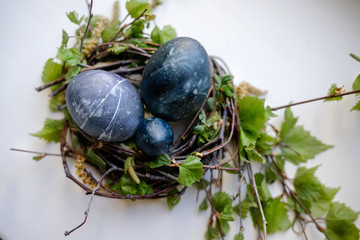 green nest with blue eggs