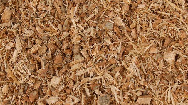 Oak bark (background)