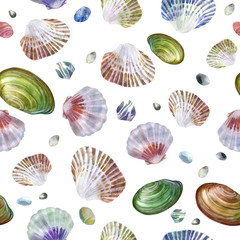 Watercolor illustration. Pattern of sea shells and sea stones on a white background. Summer theme, beach and relaxation.
