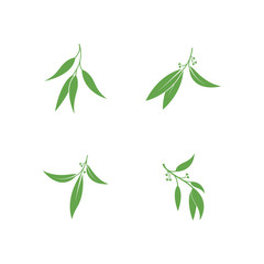 Eucalyptus leaves logo vector template design