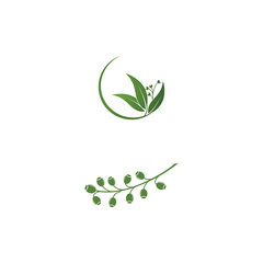 Eucalyptus leaves logo vector template design
