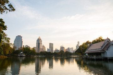 Fototapeta na wymiar Cityscape at Lumpini park, Bangkok, Thailand