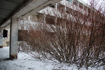 view of an abandoned building through the trees in winter