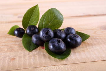 Blueberry harvest