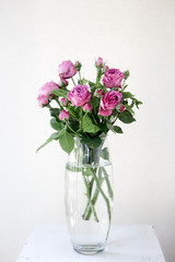 A vase filled with purple roses flowers 