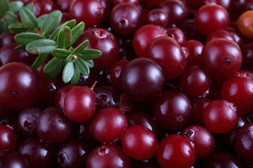Cranberries background