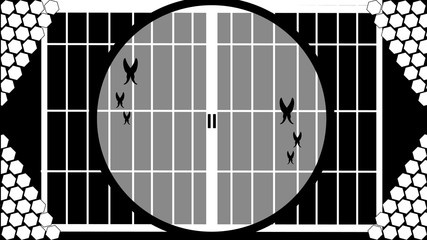 白の襖と黒の蝶と六角 © おうちライフチャンネル