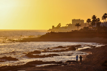 Two girls with two dogs walk on a rocky beach during sunset on a blurred background of palm trees and houses
