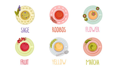Different Tea Types Poured in Cups and Standing on Saucer Vector Set