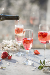 Sangria. Pink cocktail with champagne or prosecco and fresh raspberries for St. Valentine's day.