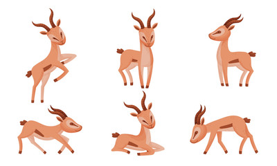 Impala Animal with Horns in Different Poses Vector Set