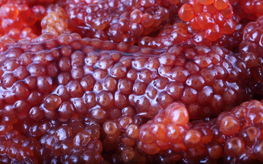 Red caviar background