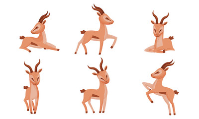 Fototapeta premium Impala Animal with Horns in Different Poses Vector Set