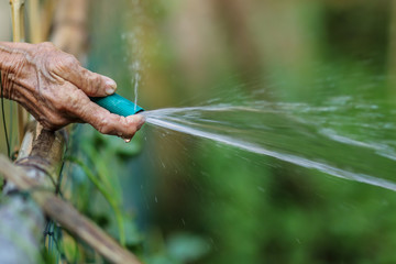 Old woman's hands watering to garden with blurred background
