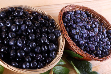 Blueberry harvest. Different varieties - Vaccinium corymbosum and Vaccinium uliginosum.