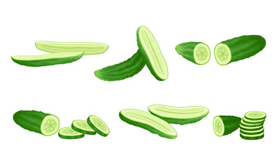 Green Cucumber Sliced Showing Flesh with Seeds Vector Set