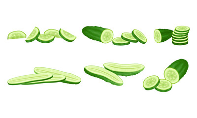 Green Cucumber Sliced Showing Flesh with Seeds Vector Set