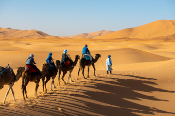 Tourists riding camels across Sahara dunes near Merzouga