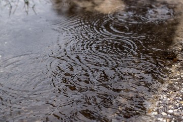 Rain drops falling in puddle of water creating ripples of water