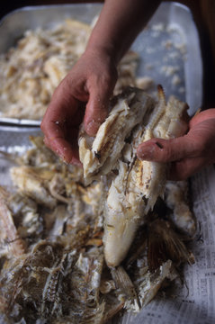 日本の伝統食品,胡麻だし,エソのそぼろ作り,エソの身をほぐす