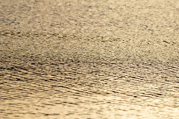 夕暮れ水面のさざなみ　麻機遊水地の池　静岡市