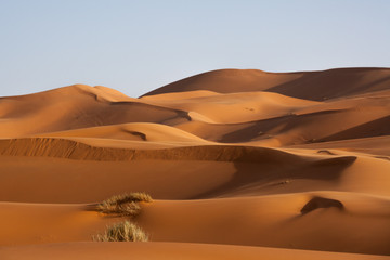 Fototapeta na wymiar Sunset in Sahara desert, Morocco