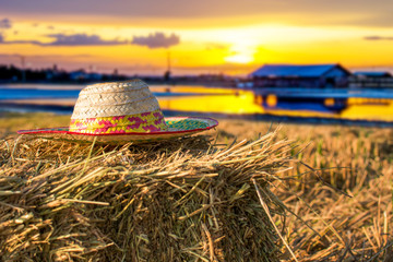 A farmer's hat is placed on a pile of rice scraps in the rice field behind the evening sunset.