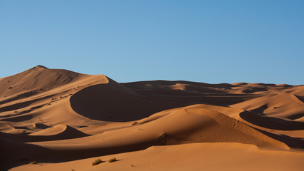 Fototapeta na wymiar Sahara desert, Morocco, Erg chebbi