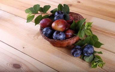Different color plums on table