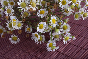 Obraz premium Camomiles on bamboo background