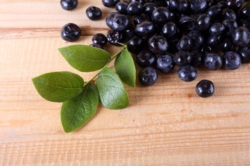 Blueberry harvest