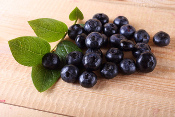 Blueberry harvest
